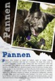 /album/nase-prace/pannen-print1-jpg/