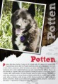 /album/nase-prace/potten-print1-jpg/